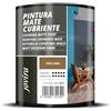 JOVIRA PINTURAS Pittura di copertura opaco. Pittura per interni ed esterni con eccellente potere coprente. (750 Millilitri, Nocciola)