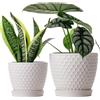 Docrin Vasi per piante in ceramica da interni, 16,6 e 14 cm, fioriere con fori di drenaggio e piattino per piante grasse, fiori e piante, decorazione da giardinaggio, interni, set da 2, regali per