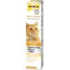 Gimborn Gimcat Pasta Multi-Vitamin Professional 20 gr