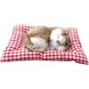 Generico Giocattoli Divertenti Gatto Che Dorme Giocattolo Mini Gatto con miagolii Suoni Che Dorme Carino Gattino Giocattoli decori per Bambini Ragazzi Ragazze 623