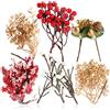 COM-FOUR® Decorazioni natalizie, rami decorativi per il fai da te | decorazioni natalizie sparse - set per il fai da te - pot-pourri natalizi come decorazioni da tavola