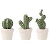 Generico Piante Succulente Artificiali in Ceramica, 3 Pezzi in Vaso, Decorazione da Tavolo per Ufficio e Casa, Stili Multipli Inviati Casualmente Stili multipli