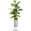 Maia Shop Ficus Elastica 120 cm - Pianta Artificiale da Interno | Pianta Artificiale Alta con Foglie Realistiche per Casa Soggiorno Ingresso Ufficio - Vaso Nero Incluso