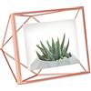 Umbra Prisma Cornice portafoto, 10x15cm, Acciaio, Rame