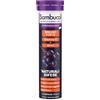 Named Sambucol Immuno Forte Integratore Con Vitamina C e Zinco Per Le Difese Immunitarie 15 Compresse