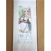 Volks NUOVO 2025 Frieren 2 Beyond Journey's End Dollfie Dream Sister DDS DD Volks