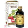 DR.GIORGINI SER-VIS SRL VIBURNO LIQUIDO ANALCOLICO GEMMO 10+ 100 ML