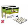 CAMON SPA ORME NAT ARTOSALUS 60 COMPRESSE