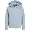 JACK & JONES Jjesoho Sweat Hood Noos Mni Jjesoho - Felpa con Cappuccio Noos Mni Bambini e Ragazzi (Pacco da 1)