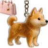 Generisch Ciondolo Ricordo Animali Ciondolo Portapelo Cane | Ricordo E Ceneri Animali Pratico Accessorio Per Borse, Portafogli, Uomo, Ragazze E Ragazzi, Ciondolo PortaE Scatolina