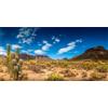 MIRRORANG 91x41cm Rettile Habitat Sfondo Cielo Blu Oasi Cactus Deserto Terrario Sfondo Vinile Sfondo