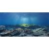 MIRRORANG 120x46cm Sfondo per Acquario Pesci sottomarini Decorazioni murali per acquari Sfondi Decorativi per acquari