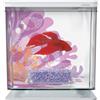 Marina Betta Kit - Flower