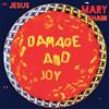 The Jesus and Mary Chain Damage and Joy (CD) Album