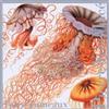 Pierre-Yves Mace Faux-Jumeaux (CD)