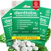 Denttabs Compresse per spazzolino da denti, l'alternativa completa al dentifricio, 125 pezzi, per 2 mesi, menta con fluoruro, vegane, senza plastica, senza conservanti, in sacchetto compostabile (375)