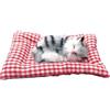 Generico Giocattoli Divertenti Gatto Che Dorme Giocattolo Mini Gatto con miagolii Suoni Che Dorme Carino Gattino Giocattoli decori per Bambini Ragazzi Ragazze 623