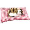 Generico Giocattoli Divertenti Gatto Che Dorme Giocattolo Mini Gatto con miagolii Suoni Che Dorme Carino Gattino Giocattoli decori per Bambini Ragazzi Ragazze 623