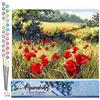 Figured'Art Dipingere con i Numeri - Paint by Numbers Papaveri di campo, Passatempo per Adulti, Kit Completo, Hobby Creativi - Quadri fai da te 40x50cm senza cornice