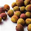 Generic litchi - resistenti per balcone biologici per gli amanti del giar 25semi