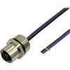 BKL Electronic 2703008 Sensore/attuatore presa da incasso M12, 0,5 m, numero di poli: 4,5 1 pezzo.