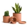 D'vine Dev Vasi in terracotta per piante, 10,7 cm, 14,5 cm, 14,5 cm, vaso per piante grasse con drenaggio e piattino, 40-A-T-1