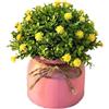 Yelvera Pianta di gipsofila finta in vaso decorativo per interni ed esterni, decorazione per balcone, tavolo da giardino, centrotavola (giallo)