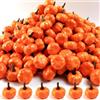 YEAMLTE Mini Zucca 20 Pezzi 3cm Piccola Artificiale Zucca Decorazione Autunnale | Mini Zucche Artificiali, Decorazioni per Tavola Autunnale e Halloween, Perfette per Artigianato, Fai da Te e Centrotavola