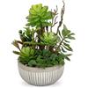 Oairse Piante grasse artificiali in vaso, piante artificiali, piccole come vere, piante grasse artificiali, piccole decorazioni per soggiorno, camera da letto, bagno, piante decorative