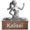 Reyrijf Stampa personalizzata 2D acrilico Donna DJ Player Desk Ornament Plaque, nome personalizzato DJ Music Disc Player Mixer Turntable Decor Sign, regalo per i musicisti Natale (S-06)