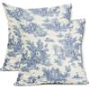 aportt Set di 2 federe per cuscini in stile country francese, 45,7 x 45,7 cm, vintage, in cotone e lino, poliestere, decorative, per camera da letto, divano, soggiorno, sedia, ufficio