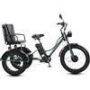 EDvkrgqx Triciclo elettrico in acciaio al carbonio