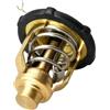VortexLumen Thermostat 60℃ 140℉ Compatible with 75 90 F75B F90B VF90A