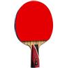 BVBFKSAA racchetta da ping-pong, Set Di Racchette Da Ping Pong
