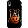 Halloween Pumpkin Border Collie Dog Owne Custodia per iPhone XR Border Collie Halloween Dog Jack O Lanterna faccia zucca