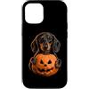 Halloween Pumpkin Dachshund Dog Owner Gi Custodia per iPhone 12/12 Pro Bassotto Halloween amante dei cani Jack O Lanterna faccia zucca