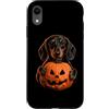 Halloween Pumpkin Dachshund Dog Owner Gi Custodia per iPhone XR Bassotto Halloween amante dei cani Jack O Lanterna faccia zucca