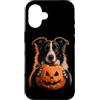 Halloween Pumpkin Border Collie Dog Owne Custodia per iPhone 16 Border Collie Halloween Dog Jack O Lanterna faccia zucca