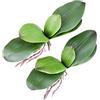 Fnize Foglie di orchidea artificiale Phalaenopsis steli foglia finto cymbidium fiore fogliame verde reale al tatto lattice sfuso 20,3 cm 2 pezzi