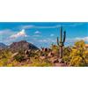 MIRRORANG 61x30cm Terrario Sfondo Montagna Roccia Joshua Albero Blu Cielo Enorme Cactus Oasi Deserto Gobi Rettile Habitat Sfondo Vinile Sfondo