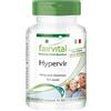 fairvital Hypervir, 60 capsule per l'uomo attivo, 4000 mg di L-arginina HCL per dose giornaliera + ginkgo e ginseng, ad alto dosaggio, vegano