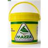MAZZA Guaina Liquida Impermeabilizzante Monocomponente Colorata Verde Pedonabile All'Acqua Colorificio Mazza lt 5 lt 14 (14 Litri, Verde)