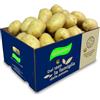 ANTONIO RUGGIERO -PATATE DAL 1889 Patate RUGGIERO Novelle Sfuse 10 kg Box
