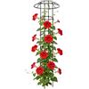 Krmoau Graticcio Ombrello per Giardino | Supporto Decorativo Verticale Antiruggine Stabile per Piante Rampicanti | Graticcio a Fungo con Cima Fiorita - Per Vite Rosa Clematide Ortaggi Pitaya Cetriolo