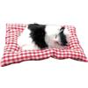 Generico Giocattoli Divertenti Gatto Che Dorme Giocattolo Mini Gatto con miagolii Suoni Che Dorme Carino Gattino Giocattoli decori per Bambini Ragazzi Ragazze 623