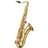 YANAGISAWA TWO1 Sassofono Tenore Laccato Oro Professionale Ottone Giappone...