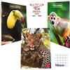 Pigna Quaderni PIGNA ANIMAL, rigatura 10mm, elementari, SET da 10 quaderni