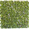 TENAX Siepe Artificiale con Foglie 3d su Traliccio Estensibile in PVC, Divy 3D Trellis, 1x2 m