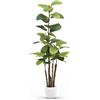 Maia Shop Ficus Elastica 150 cm - Pianta Artificiale da Interno | Pianta Artificiale Alta con Foglie Realistiche per Casa Soggiorno Ingresso Ufficio - Vaso Nero Incluso