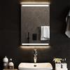 vidaXL Specchio da Bagno con Luci LED 40x60 cm
